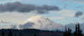 PB051254_60.jpg (211970 bytes)