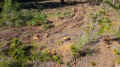 DJI_0724_80.jpg (2059102 bytes)