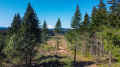 DJI_0728_80.jpg (1444333 bytes)