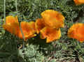 IMG_E0528_80.jpg (793993 bytes)