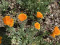 IMG_E0529_80.jpg (1466230 bytes)