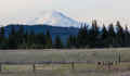 P4041060_60.jpg (464282 bytes)