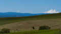 P5041202_60.jpg (385033 bytes)