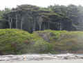 P6050594_60.jpg (961670 bytes)