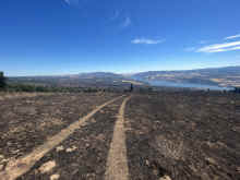 IMG_7216_90.jpg (1339133 bytes)