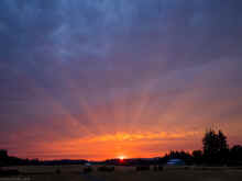 P8251226_60.jpg (240218 bytes)