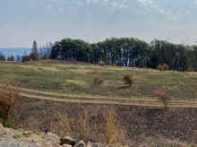 IMG_E1382_80.jpg (1526616 bytes)