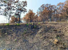 IMG_E1386_80.jpg (2451482 bytes)