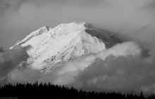 PB010350_60.jpg (270400 bytes)