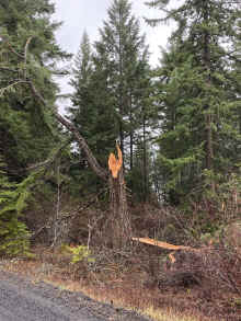 IMG_1782_80.jpg (1530283 bytes)