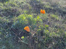 IMG_1817_80.jpg (1270836 bytes)