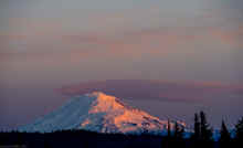 PC130555_60.jpg (247112 bytes)