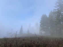 IMG_2120_90.jpg (541549 bytes)