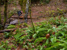 P1040792_95.jpg (3268598 bytes)