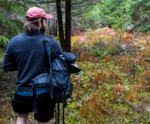 P1040798_95.jpg (2614441 bytes)