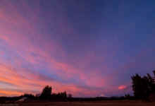 P1120084_80.jpg (439214 bytes)