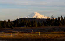 P1130093_80.jpg (700491 bytes)