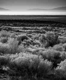 P1160147_80.jpg (998117 bytes)