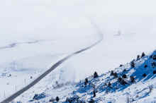 P1160172_80.jpg (673668 bytes)