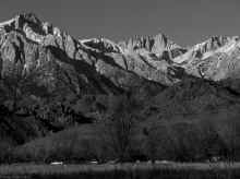 P1170329_80.jpg (1521063 bytes)