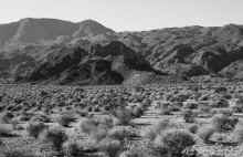 P1190378_80.jpg (1896559 bytes)