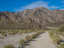 P1190380_80.jpg (2090178 bytes)