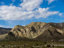 P1220441_80.jpg (1175806 bytes)