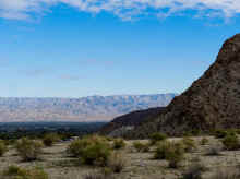 P1230464_80.jpg (1074435 bytes)