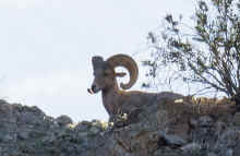 P1250469.JPG (256016 bytes)