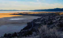 P2020608_80.jpg (625200 bytes)