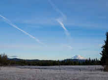 P2100623_80.jpg (675244 bytes)