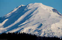 P2100627_80.jpg (654171 bytes)