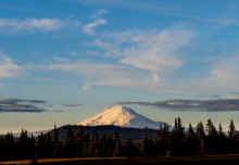 P2100639_80.jpg (558038 bytes)