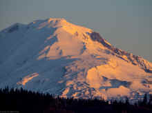 P2110648_80.jpg (690125 bytes)