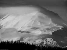 P2170661-2_80.jpg (600851 bytes)