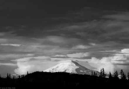 P2170674_80.jpg (304671 bytes)