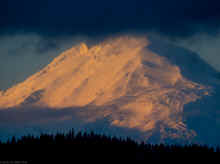 PC240652_80.jpg (514158 bytes)