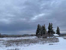 IMG_2140_90.jpg (736007 bytes)