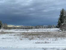 IMG_2142_90.jpg (794321 bytes)