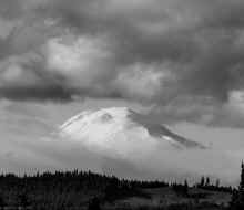 P4020719_60.jpg (151493 bytes)