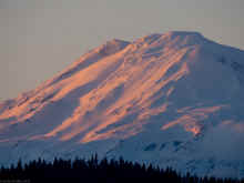 P4020747_60.jpg (312869 bytes)