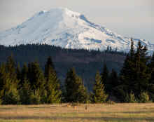 P4050753_60.jpg (629630 bytes)