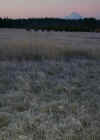 hood frost.jpg (173120 bytes)