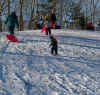 sliding 5.jpg (227974 bytes)
