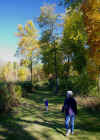 tam trail 2.jpg (240494 bytes)