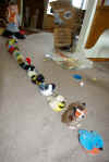 bird parade.jpg (133533 bytes)