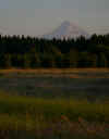 hood last evening 2.jpg (122859 bytes)