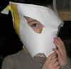 jvb mask 1.jpg (72458 bytes)