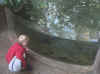 zoo 1.jpg (108050 bytes)