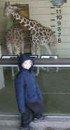 zoo 3.jpg (71296 bytes)